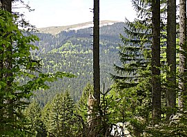 Feldberg, das Ziel