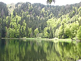 Blick ber den Feldsee auf die Raststelle