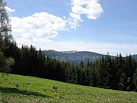 Bilder von einer zweitgigen Wanderung mit Elke und Wilfried am Feldberg