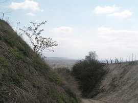 Ausblick ber den Tuniberg hinweg