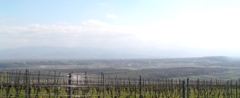 ber den Tuniberg zum Sdschwarzwald