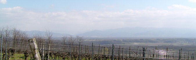 Freiburg bis Feldberg, schneebedeckt