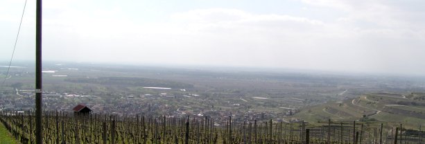 vorn Ihringen, links Gndlingen, Mitte der Rhein, KKW Fessenheim als weier Tupfer zu erkennen.