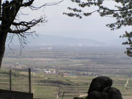 Blick ber Umkirch bis Freiburg-Zhringen