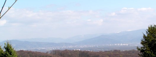 Freiburg von der Adlernesthütte aus.