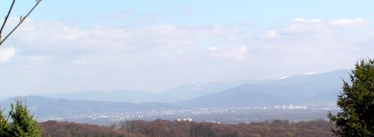 Freiburg von der Adlernesthtte aus.