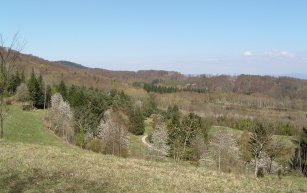 Kirschen- und andere blhende Bume in Liliental