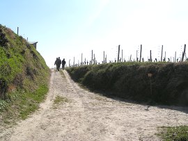 Abzweig berm Welzental