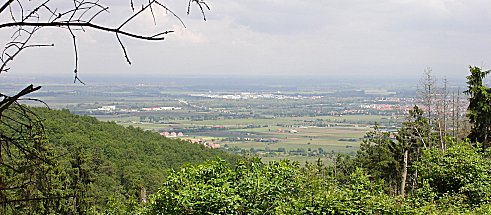 Erste Aussicht auf Schlettstadt Nord