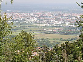 Blick auf Schlettstadt