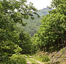 Direkt auf die Hochknigsburg zu