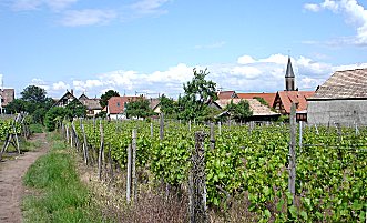 Fußweg hinter dem Dorf