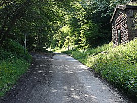 Wasserhuschen gegenber Burgaufstieg