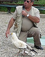 Der Ansager mit einem Schmutzgeier, der gerade ein kleines Kunststck vorgefhrt hat.