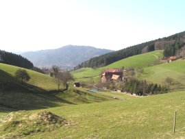 Wanderung um Siensbach