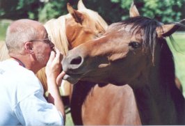 Das Pferd bedankt sich